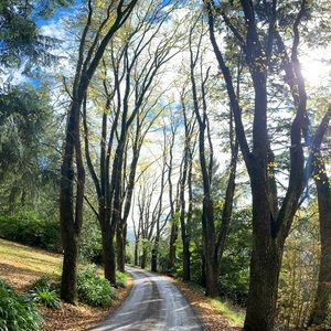 Meet your Posher, Lorena